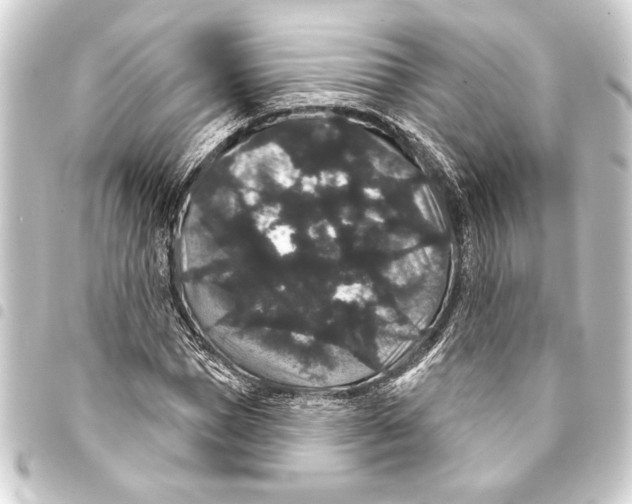 X0000093400921200711020932