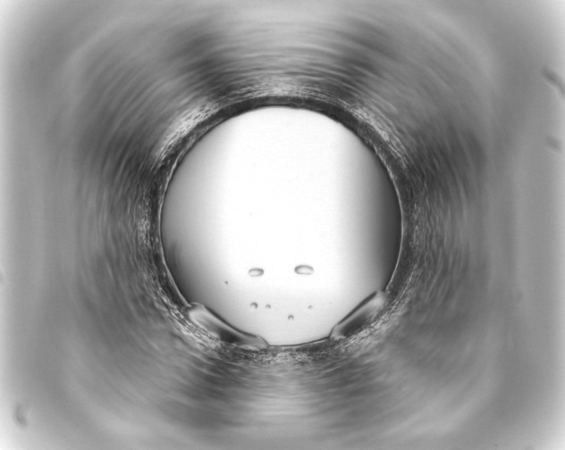 X0000093400922200711020932