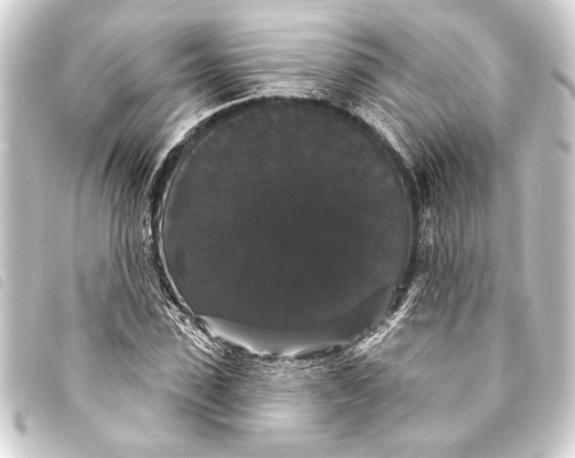 X0000093400923200711020932