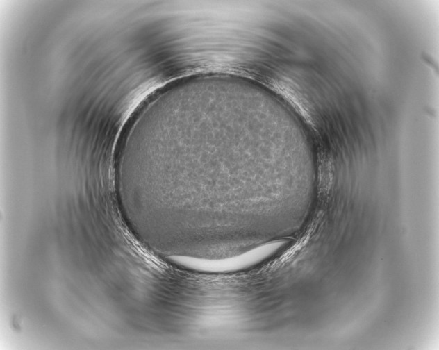 X0000093400924200711020932