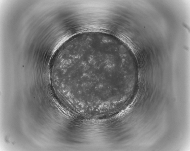 X0000093400925200711020932