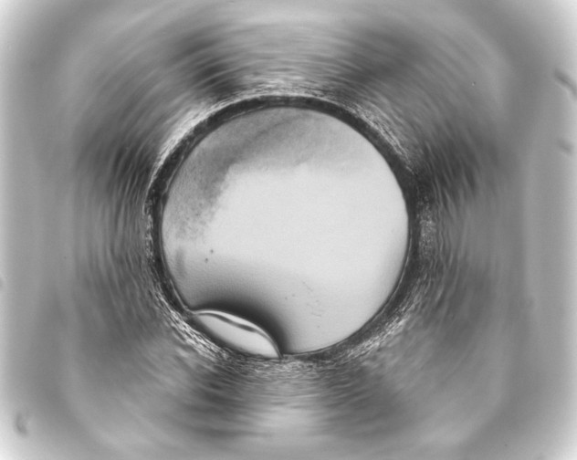 X0000093400926200711020932