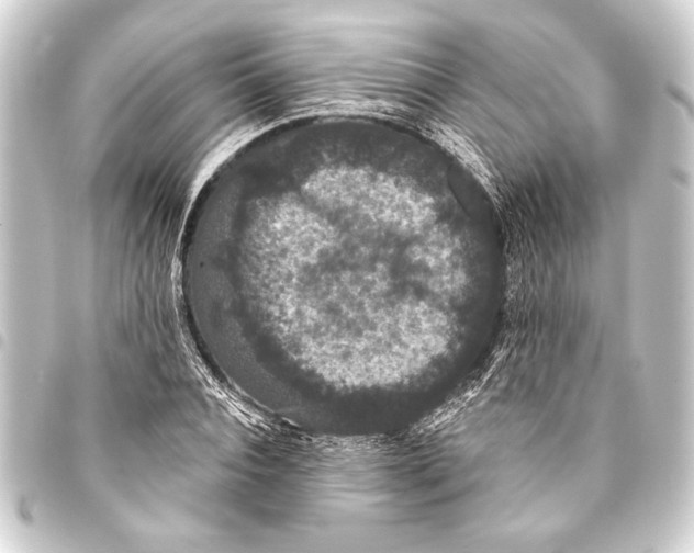 X0000093400928200711020932