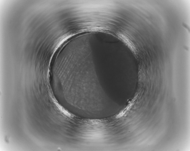 X0000093400932200711020932