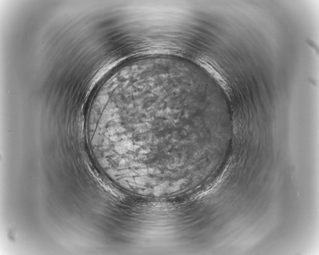 X0000093400933200711020932