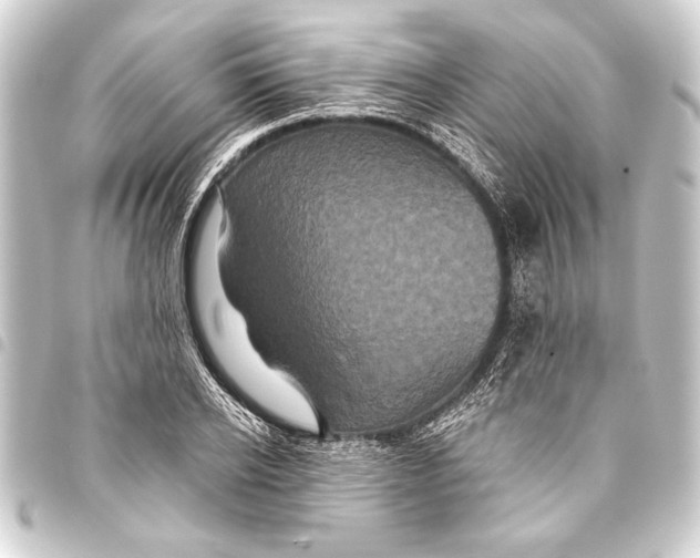 X0000093400934200711020932