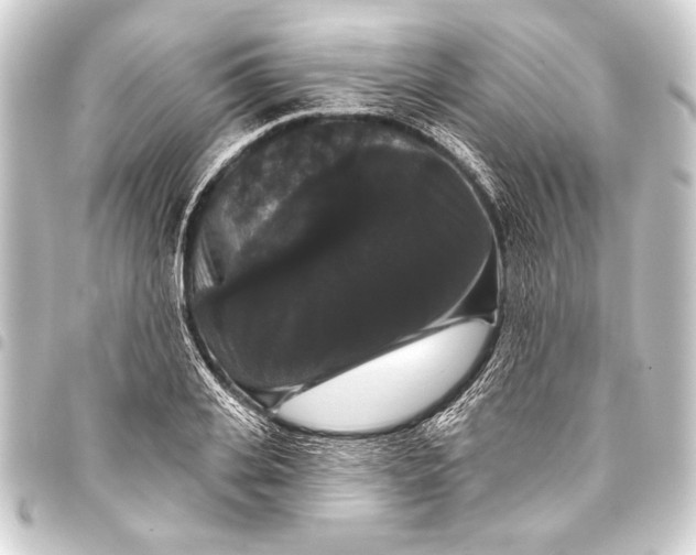 X0000093400935200711020932