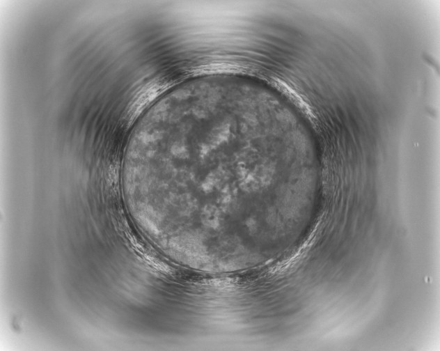 X0000093400937200711020932