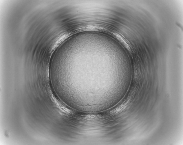 X0000093400938200711020932