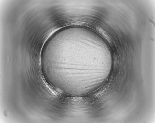 X0000093400940200711020932