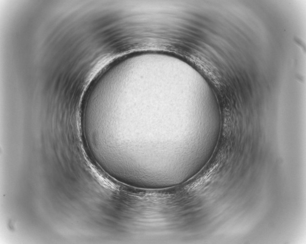 X0000093400942200711020932