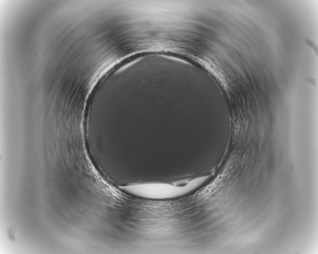 X0000093400943200711020932