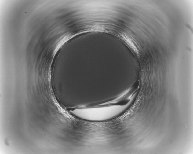 X0000093400944200711020932