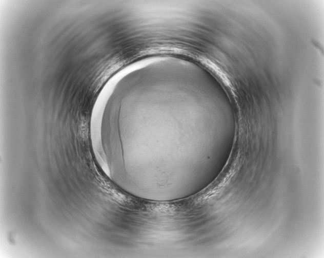 X0000093400945200711020932