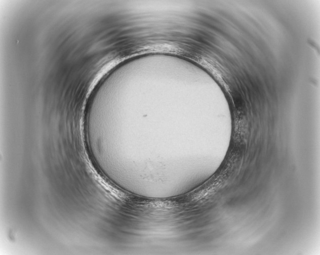 X0000093400947200711020932