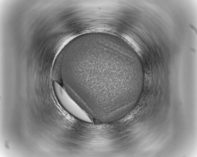 X0000093400948200711020933