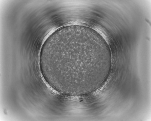 X0000093400949200711020933