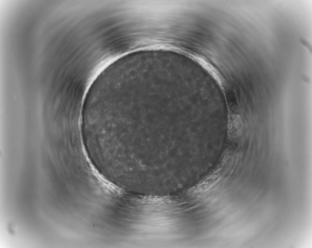 X0000093400951200711020933