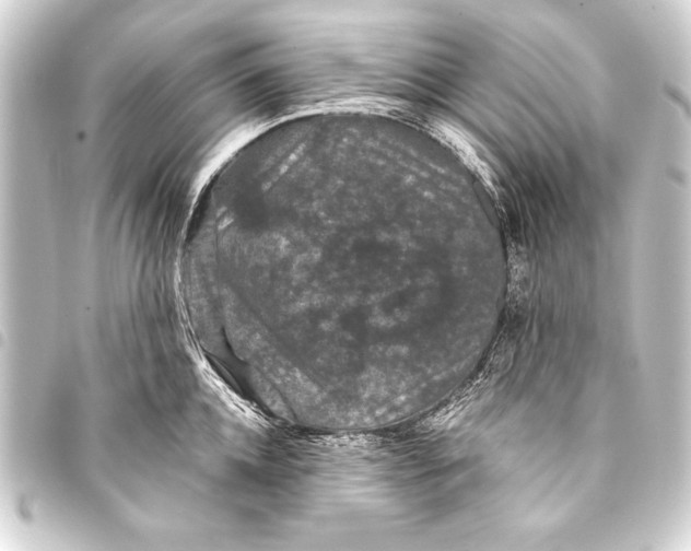 X0000093400952200711020933