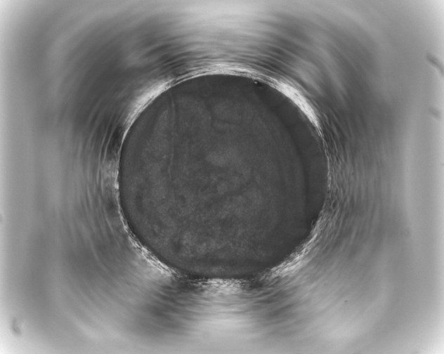 X0000093400954200711020933