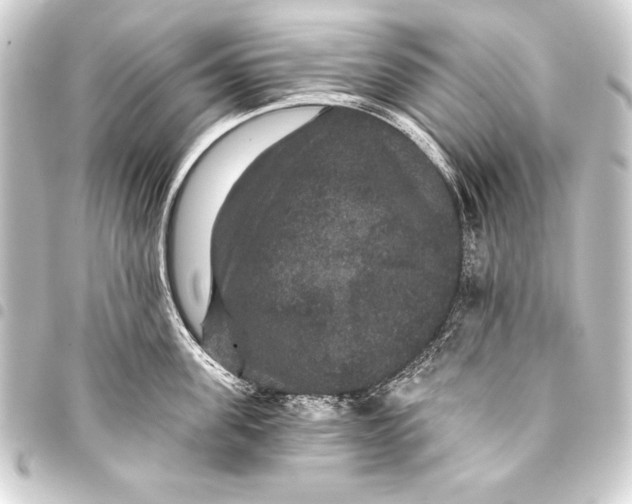 X0000093400955200711020933