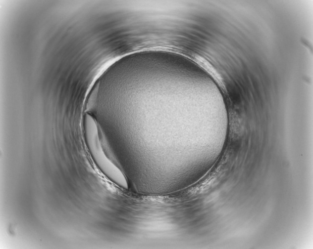 X0000093400956200711020933