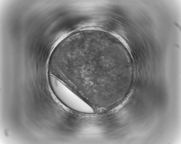 X0000093400957200711020933