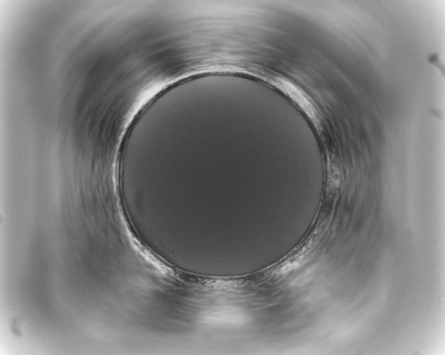 X0000093400958200711020933