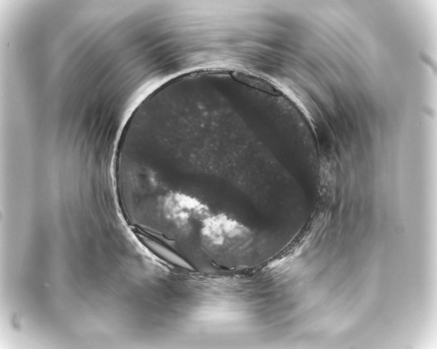 X0000093400959200711020933