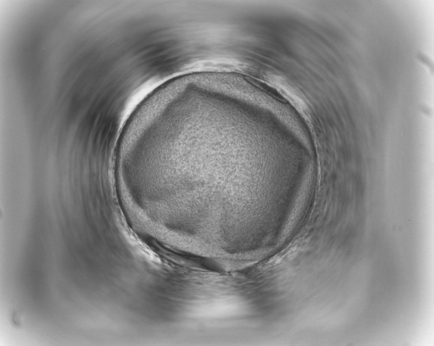 X0000093400960200711020933