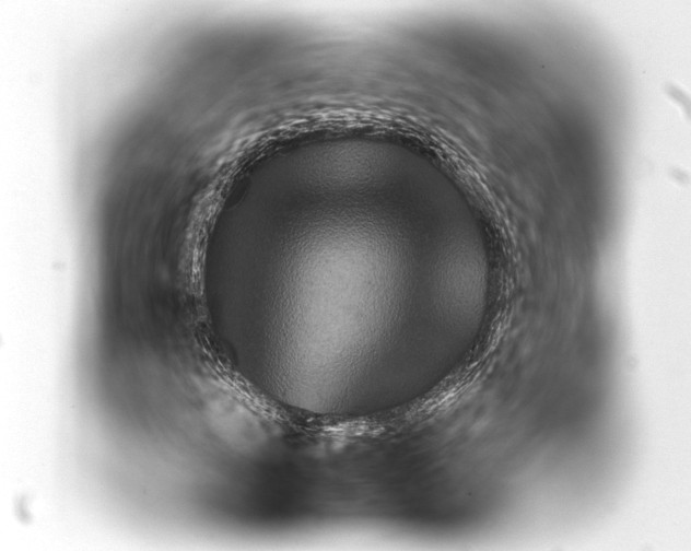 X0000093400961200711020932