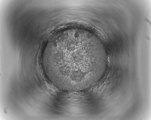 X0000093400963200711020932