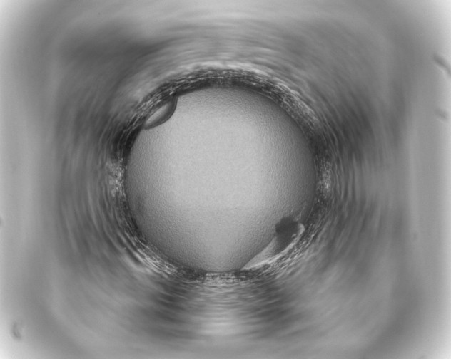 X0000093400964200711020932