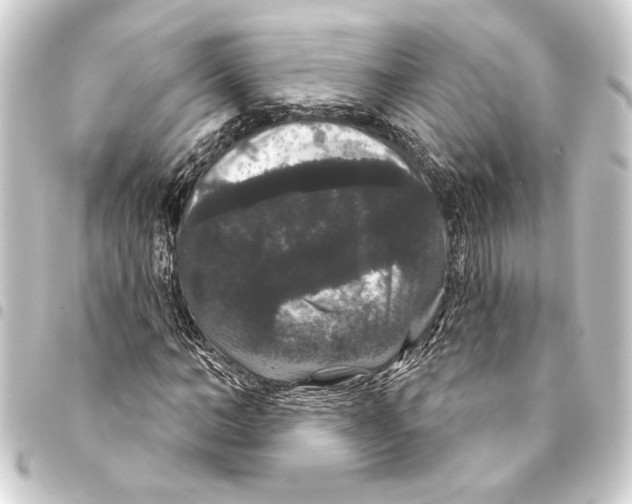 X0000093400966200711020932