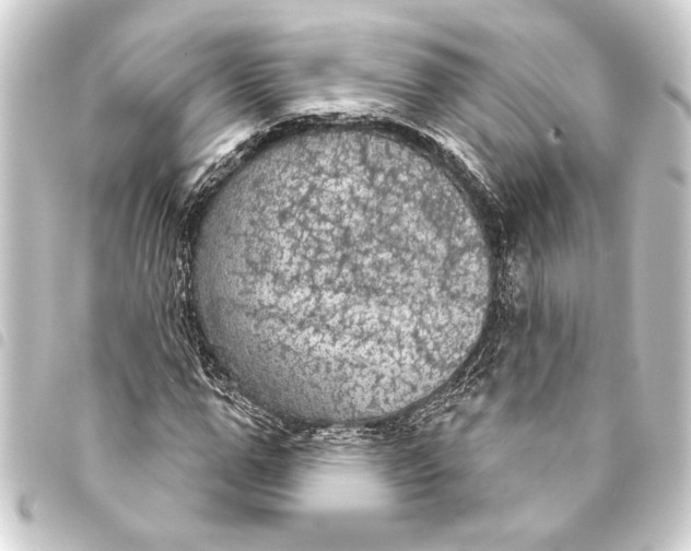 X0000093400967200711020932