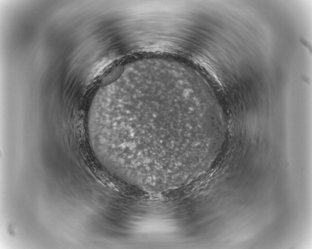 X0000093400968200711020932