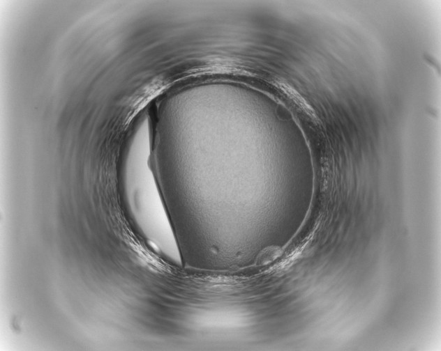 X0000093400969200711020932