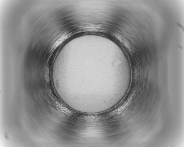 X0000093400970200711020932