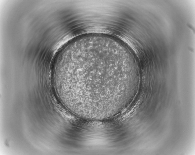 X0000093400971200711020932