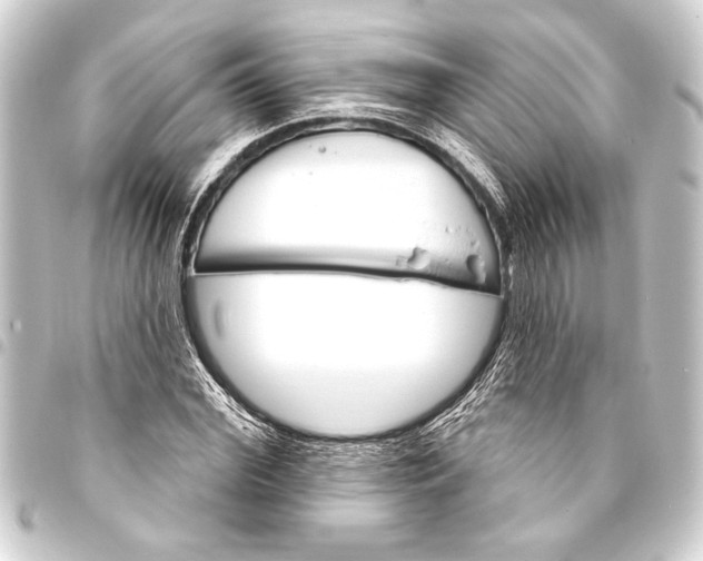 X0000093400972200711020932