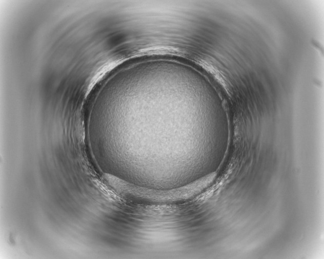 X0000093400973200711020932