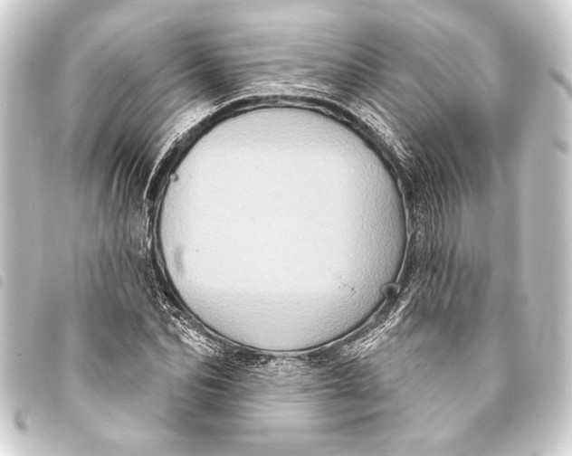 X0000093400974200711020932