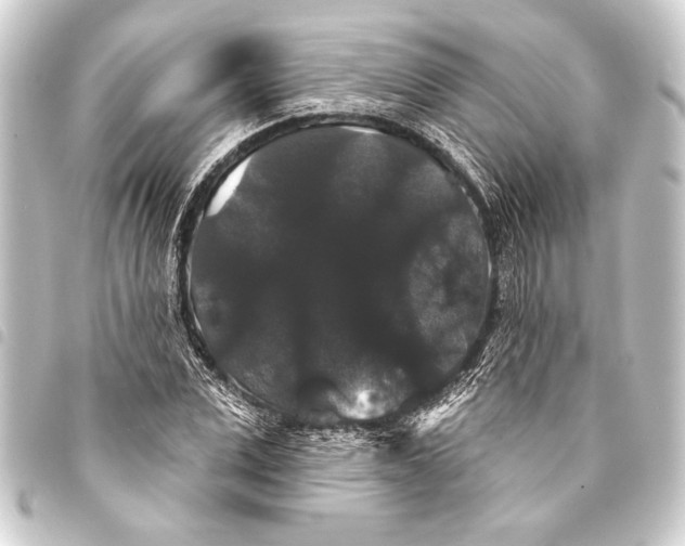 X0000093400975200711020932