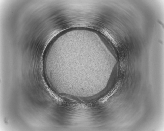 X0000093400976200711020932