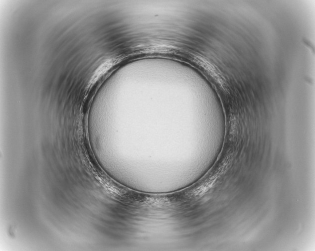 X0000093400978200711020932