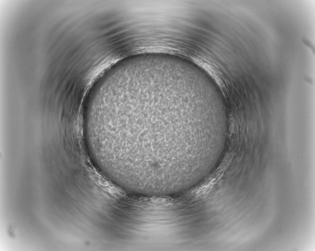 X0000093400979200711020932