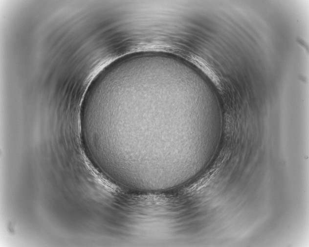 X0000093400980200711020932