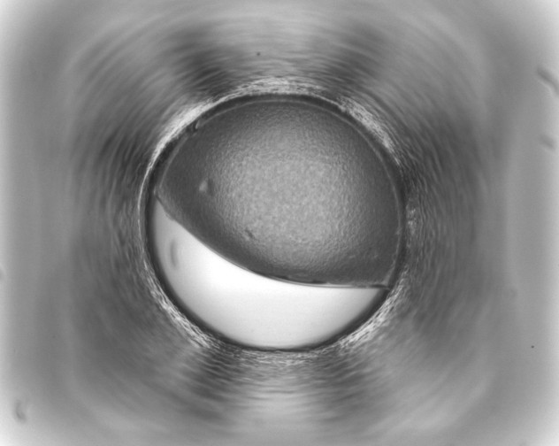 X0000093400981200711020932