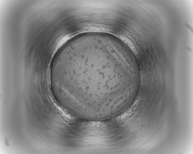 X0000093400982200711020932