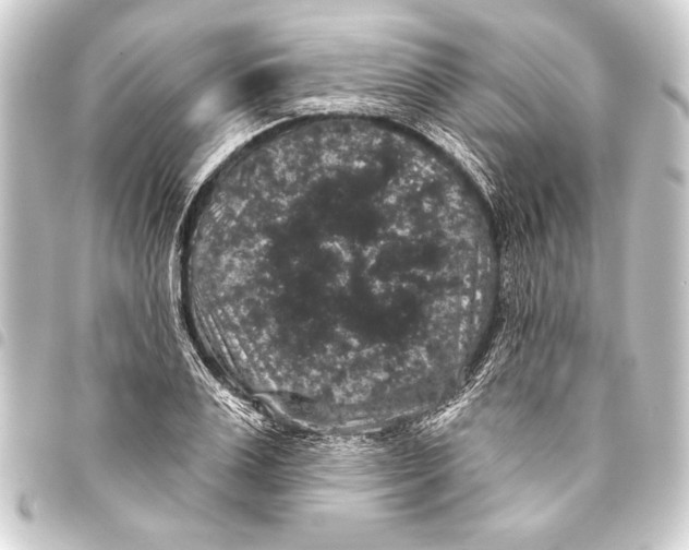 X0000093400983200711020932